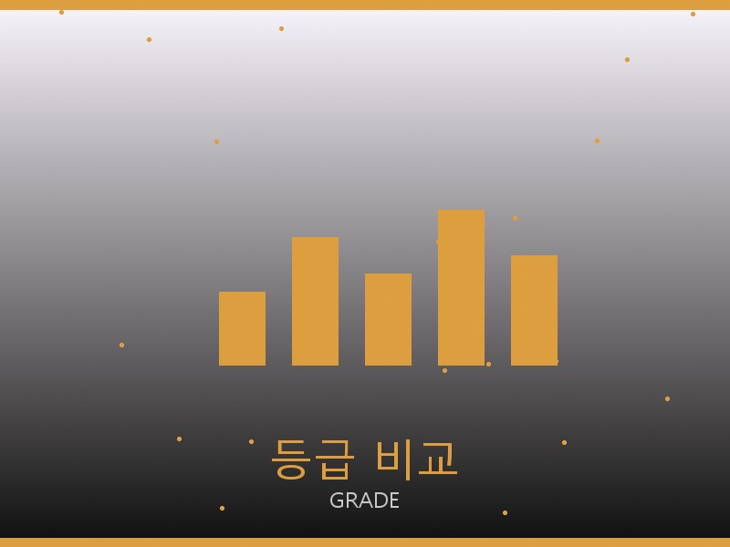 벨루티 S급 레플 사이트 등급 기준 비교